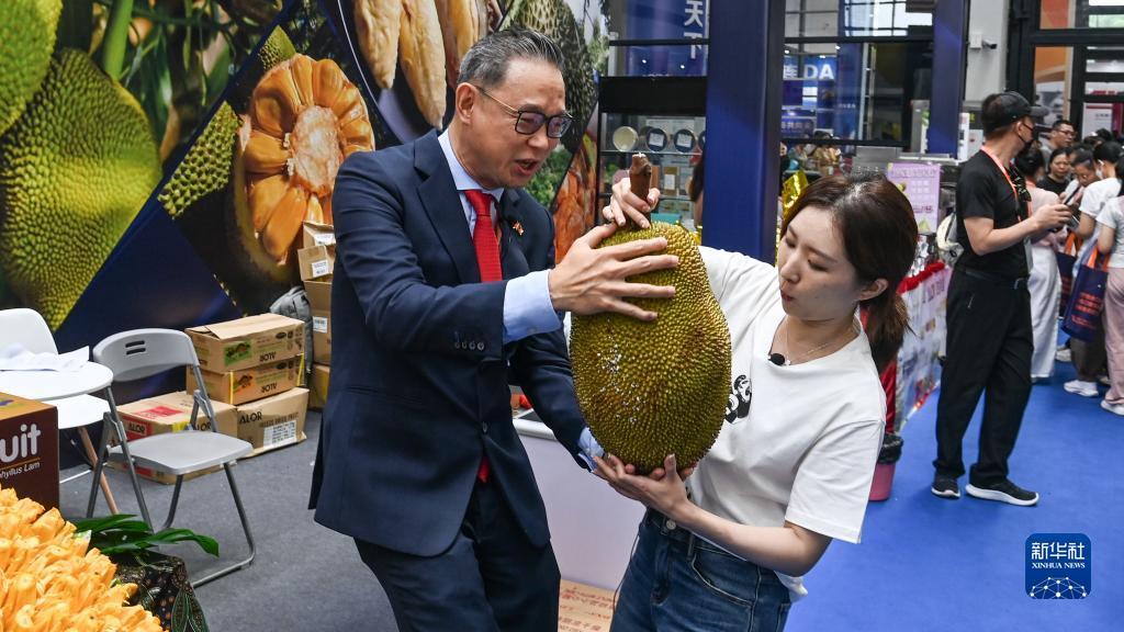 dt电子游戏